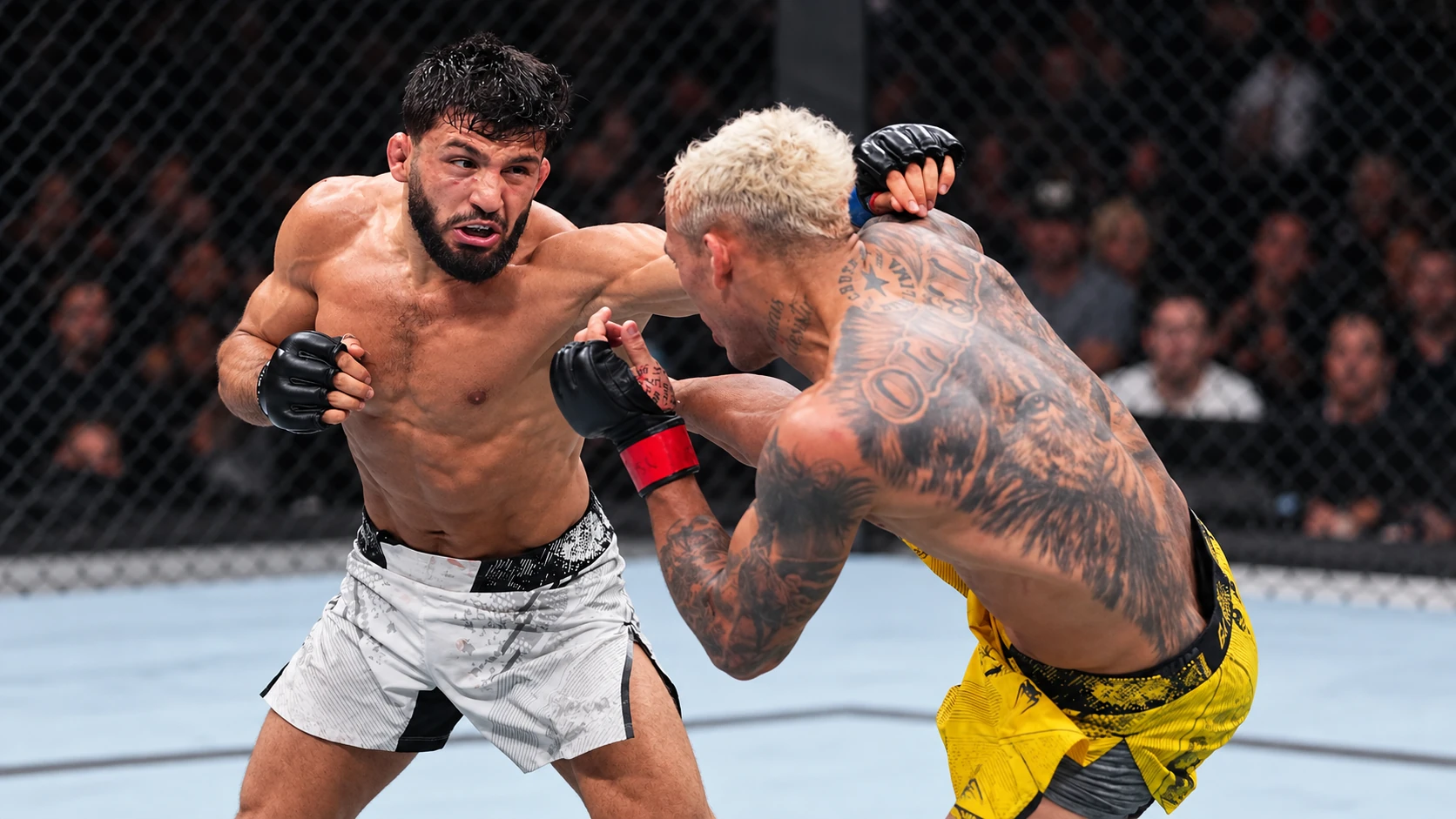 Building a UFC contender's record - arman tsarukyan record